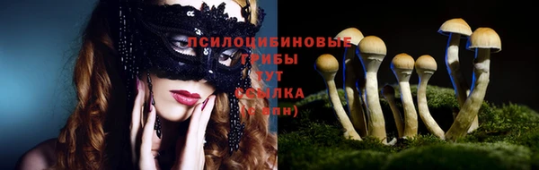 скорость Баксан