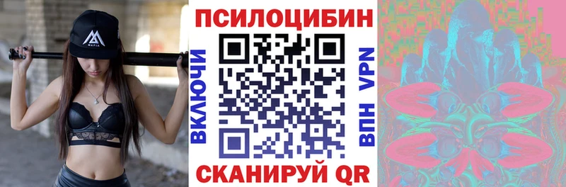 Галлюциногенные грибы Cubensis Котельники